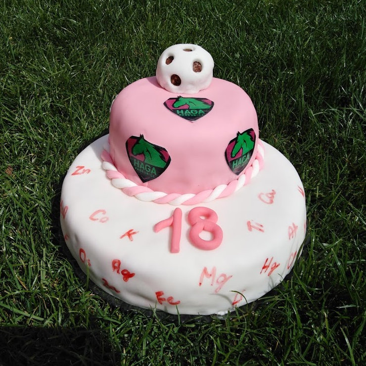 HAGA dort - piškot, pudinkový krém, čokoládová ganache, potahovací hmota
