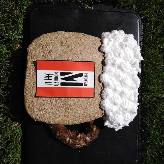 Pivo Mordýř - piškot, pudinkový krém, šlehané bílky
