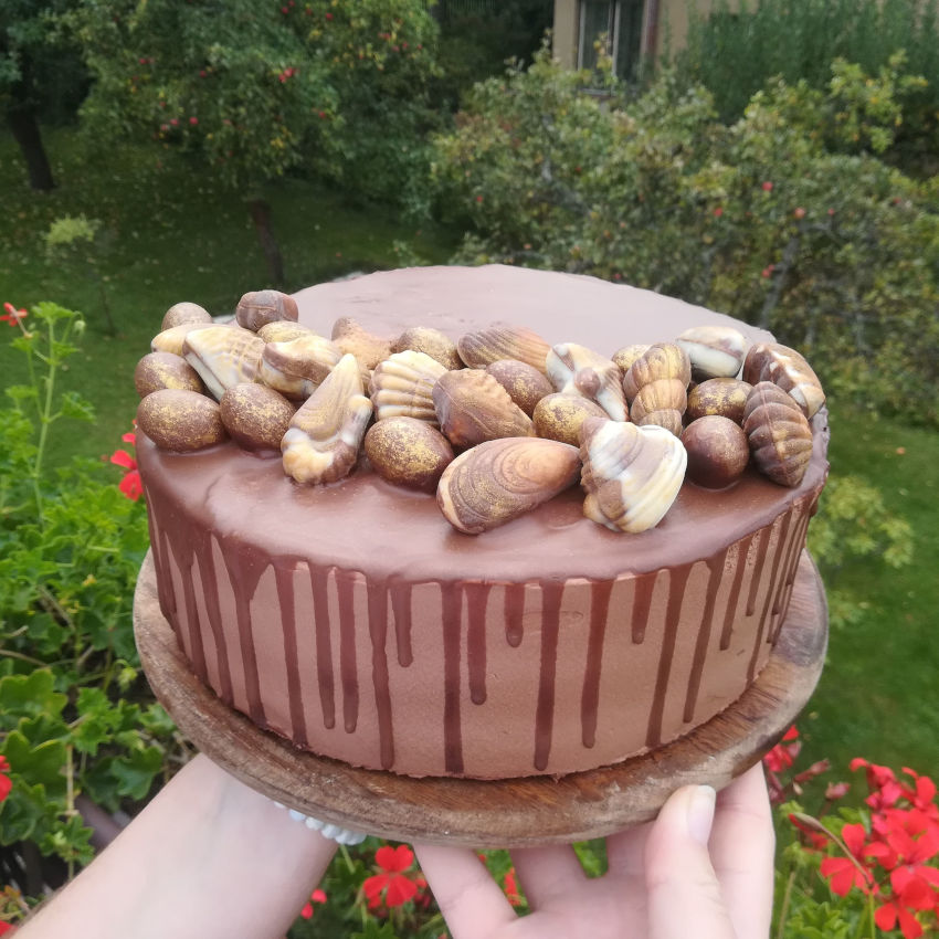 Čokoládový dort se šlehaným krémem, čokoládové ozdoby
