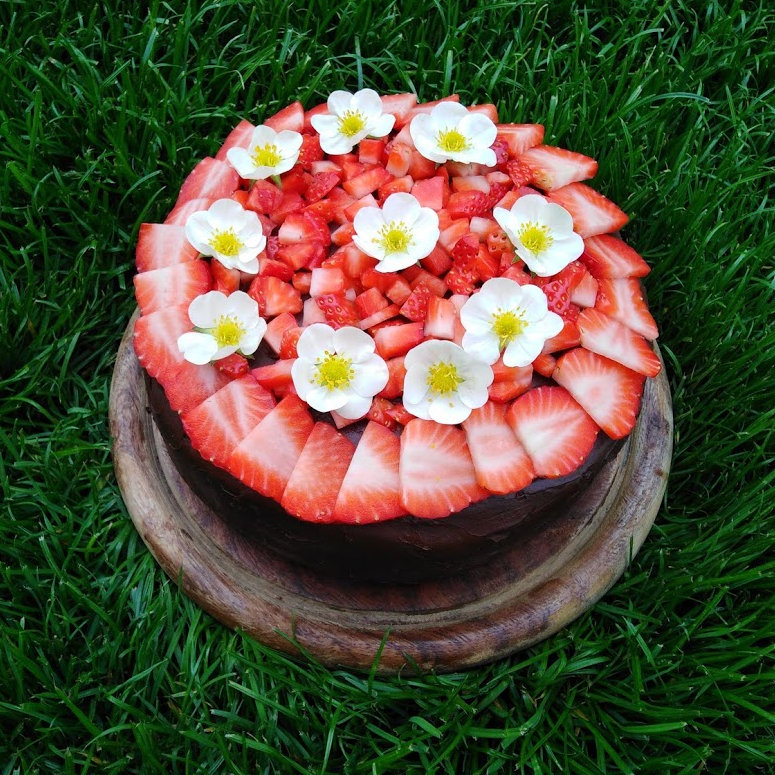 Čokoládový dort s jahodami - kakaový korpus, čokoládový krém
