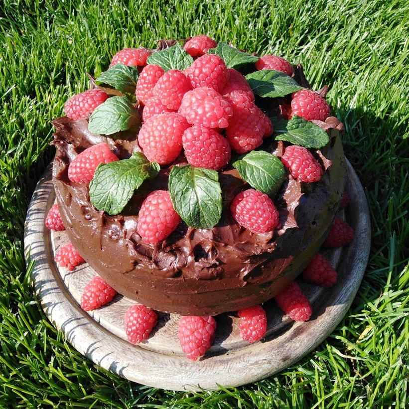 Čokoládový dort s malinami - kakaový korpus, čokoládový krém
